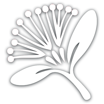 CML logo